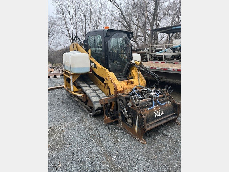 CAT- 289c.jpg