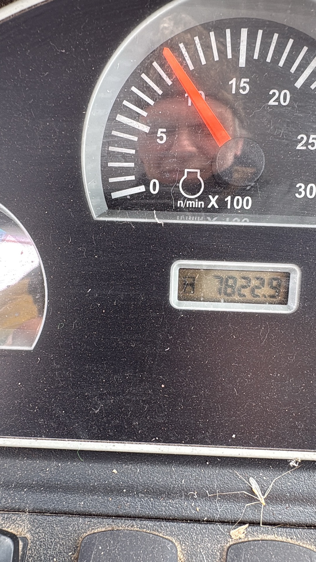 pepine 2026-03-10 ab.JPG