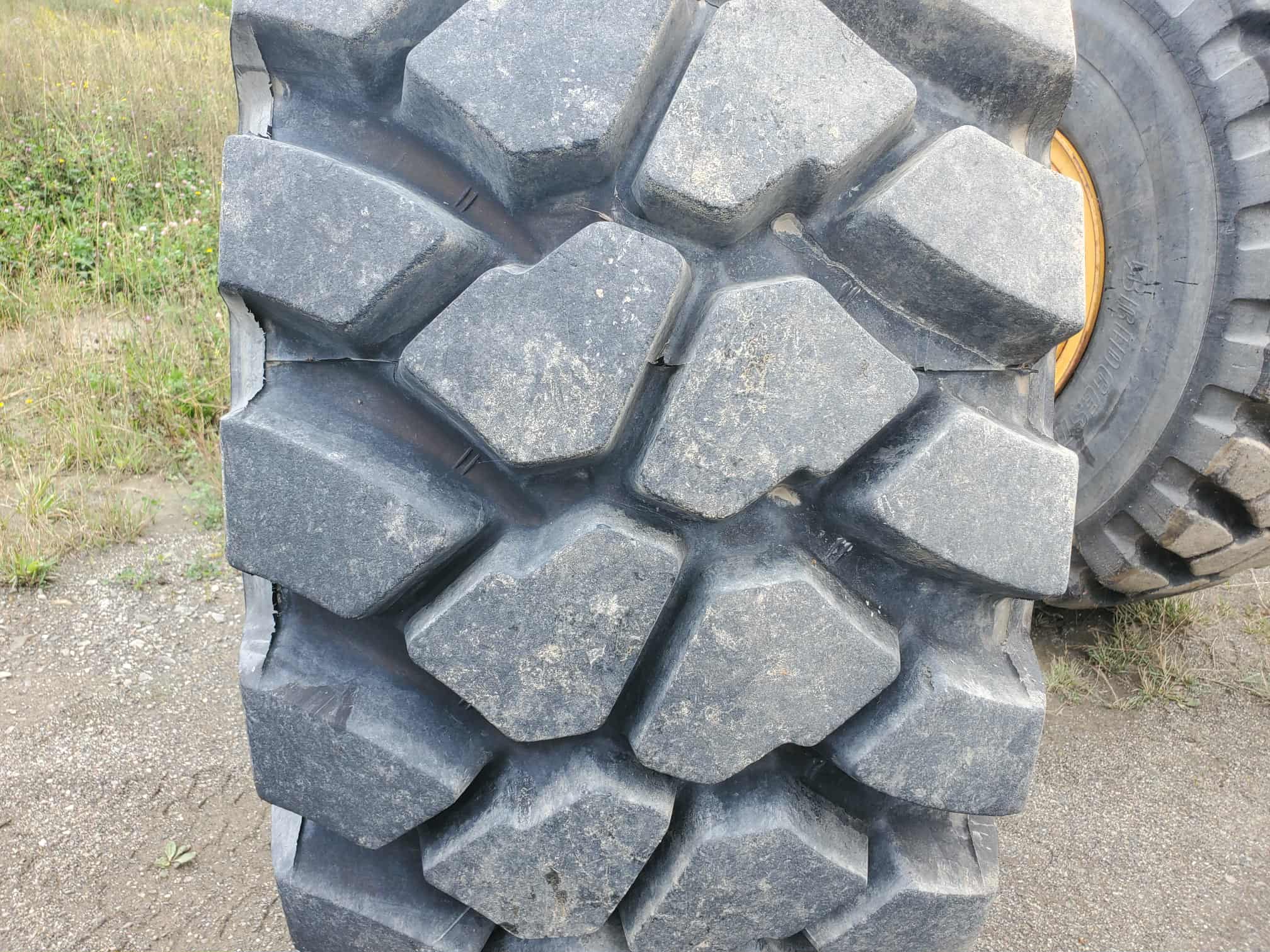1000033323.jpg