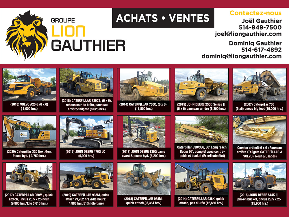 Lion-Gauthier-1.jpg