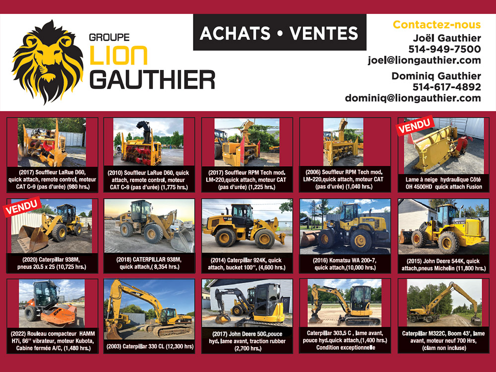Lion-Gauthier-1.jpg