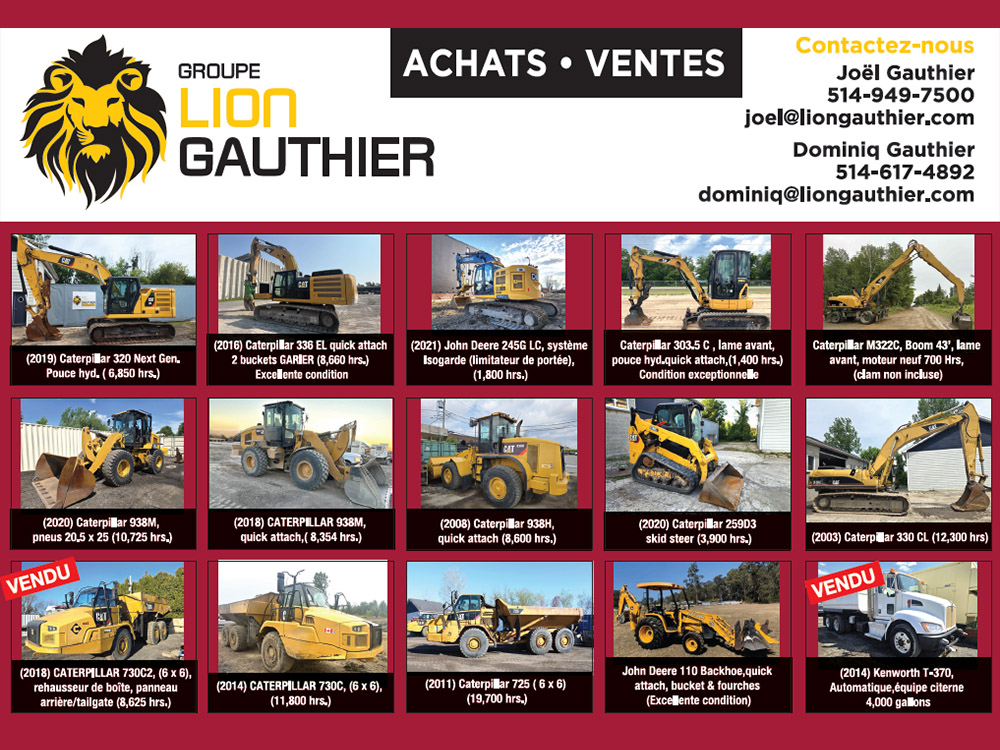 Lion-Gauthier-1.jpg
