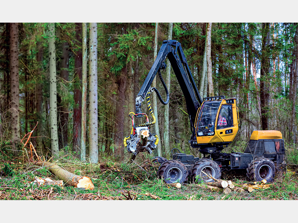 Assurance-Forestier-2.jpg
