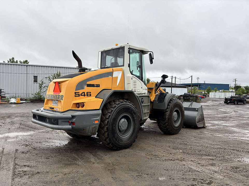 2018, Liebherr, L546, 7 980h, 117 500.jpg