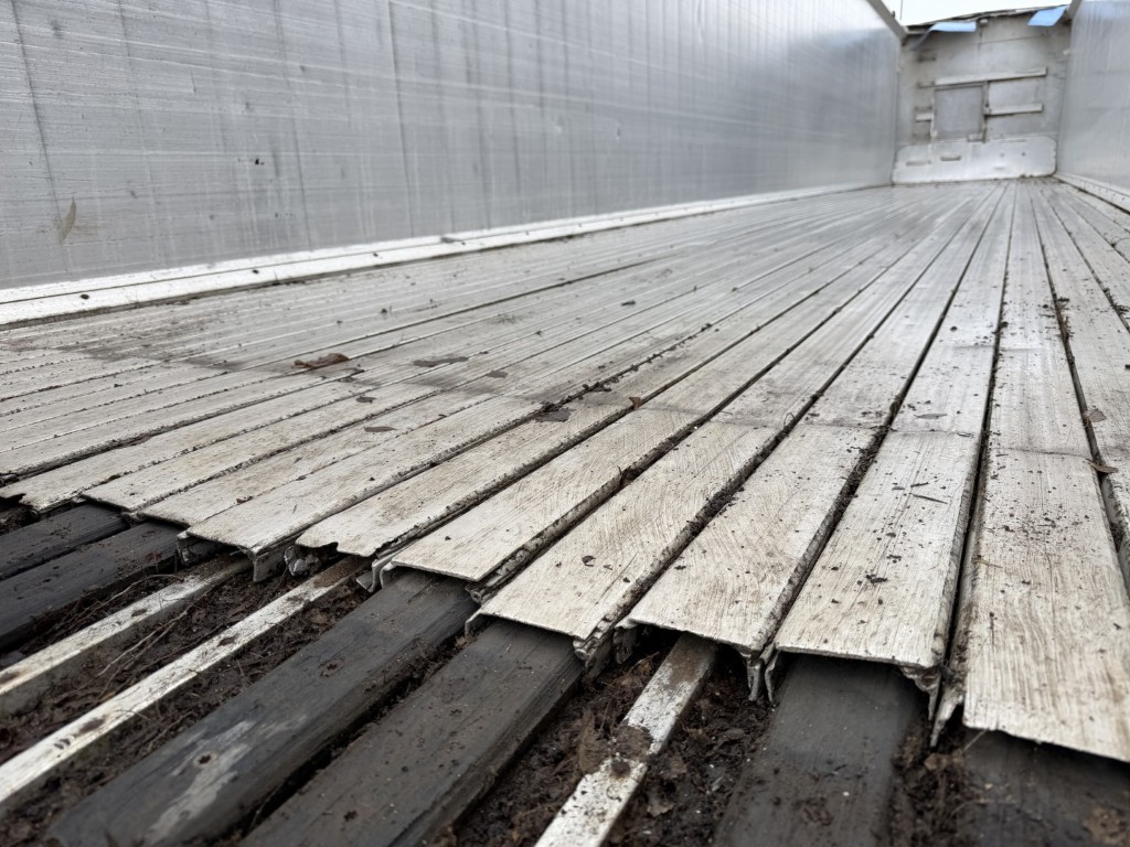 IMG_9413.bak (Moyenne).JPG