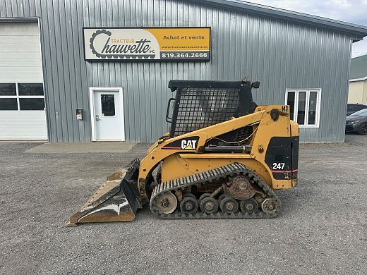 Cat 247 (1).jpg