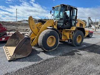 cat930M_2018.jpeg