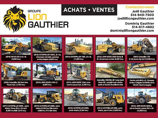 Lion-Gauthier-1.jpg