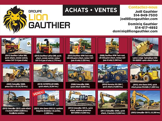 Lion-Gauthier-1.jpg