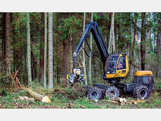 Assurance-Forestier-2.jpg