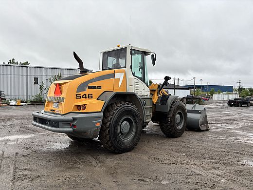 2018, Liebherr, L546, 7 980h, 117 500.jpg